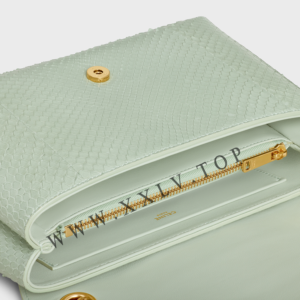 Medium Celine Victoire Bag in PYTHON - Image 2