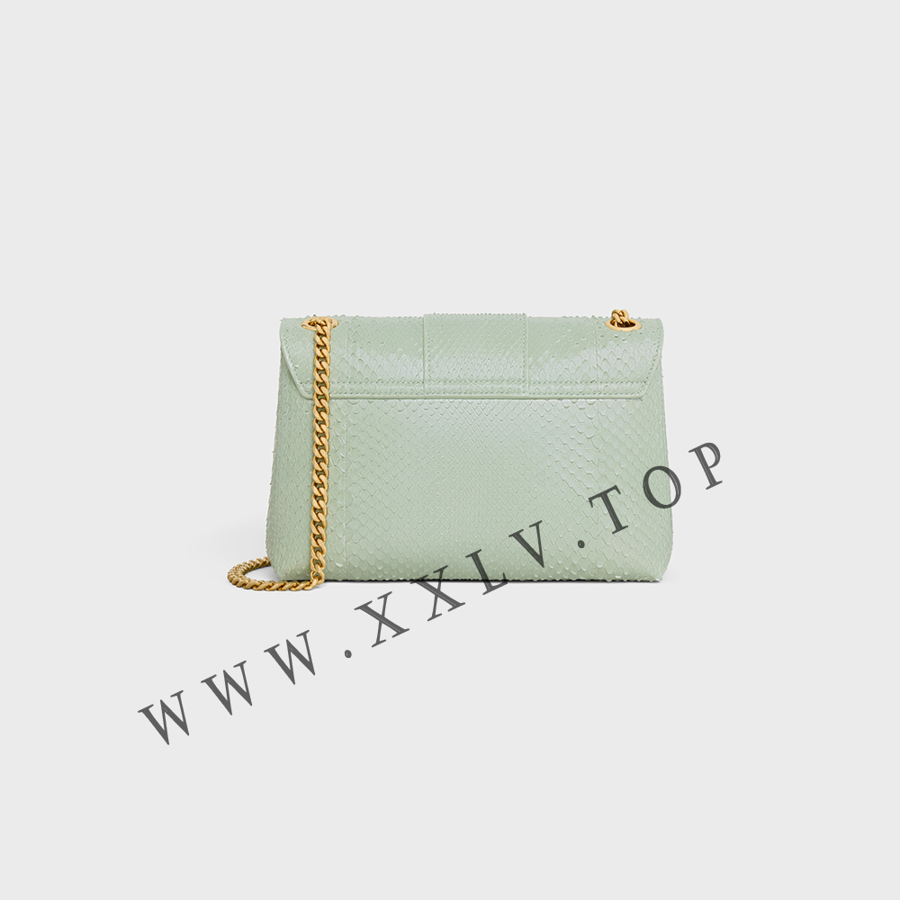 Medium Celine Victoire Bag in PYTHON - Image 3
