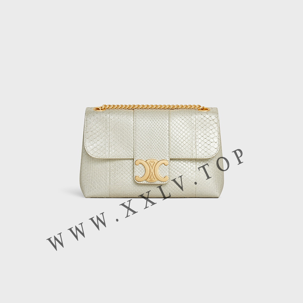 Medium Celine Victoire Bag in PEARLY PYTHON - Image 5