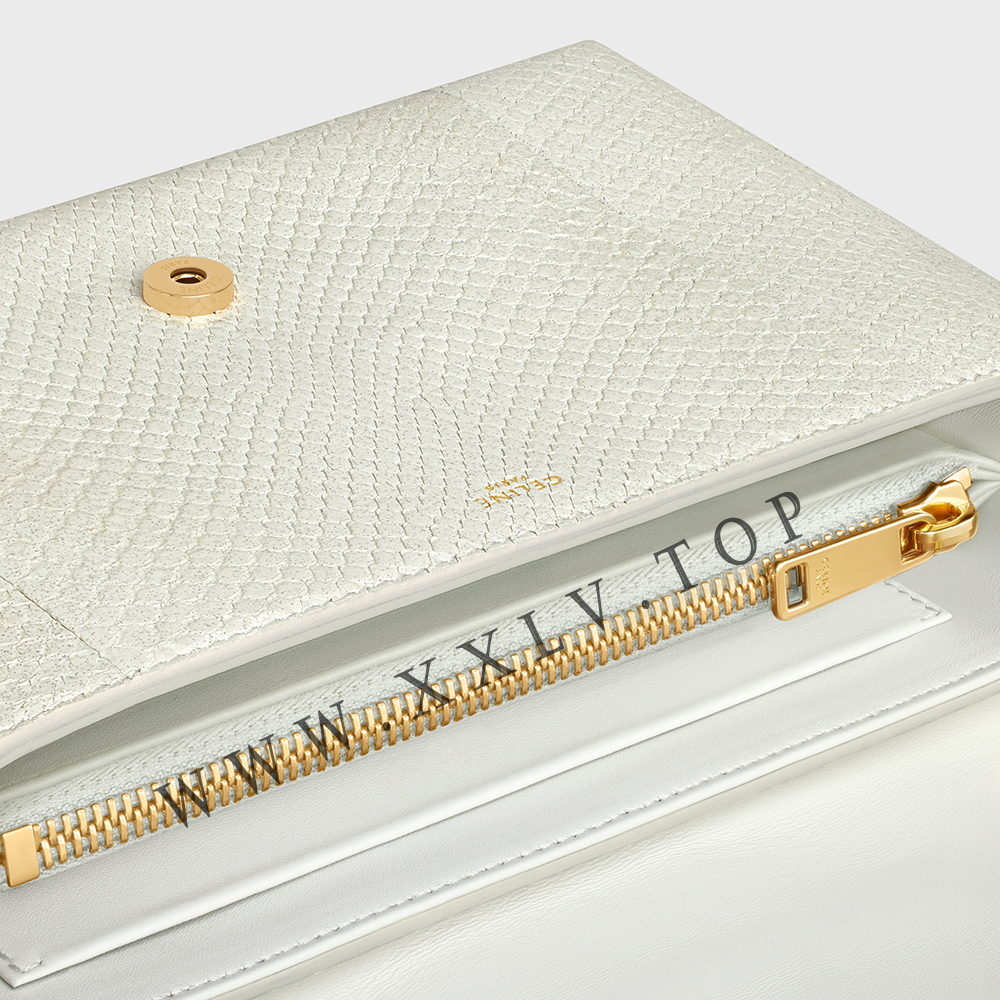 Medium Celine Victoire Bag in PEARLY PYTHON - Image 3