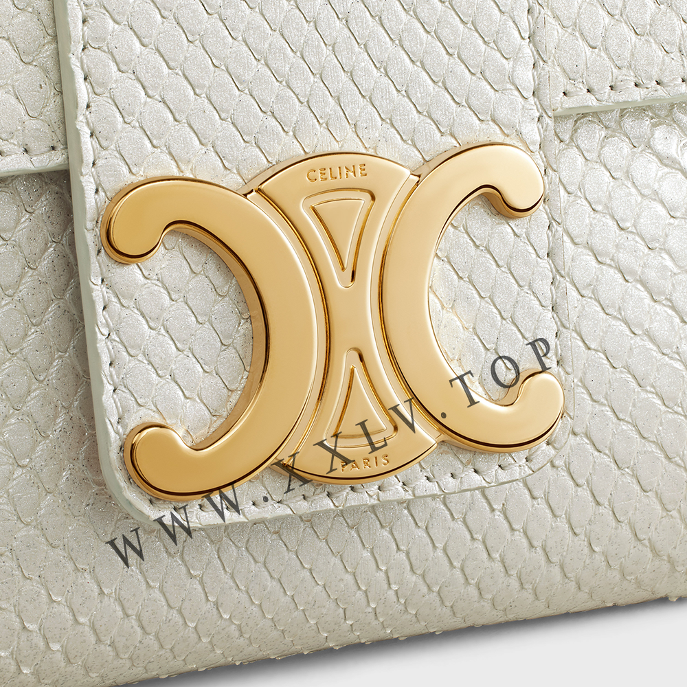 Medium Celine Victoire Bag in PEARLY PYTHON - Image 2