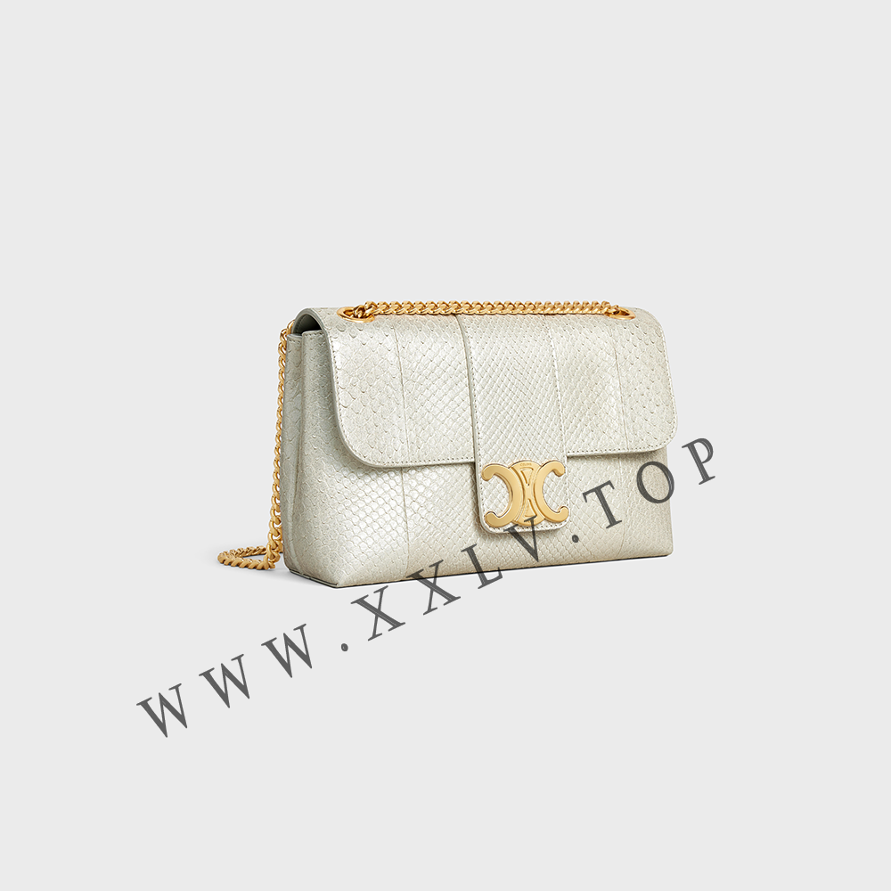 Medium Celine Victoire Bag in PEARLY PYTHON - Image 4