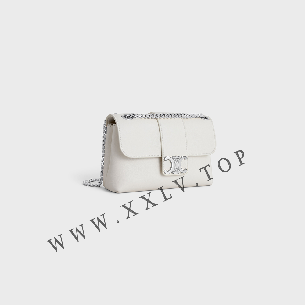 TEEN CELINE VICTOIRE BAG in SUPPLE CALFSKIN - Image 5