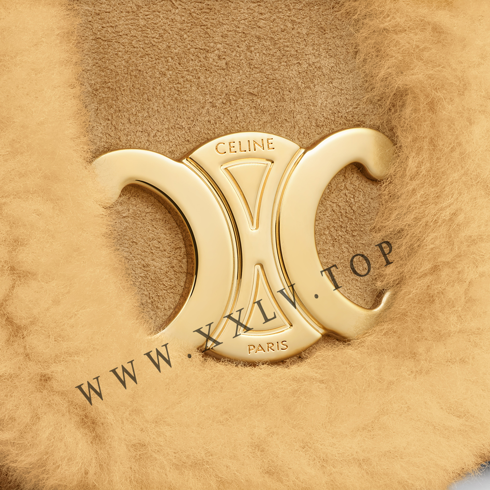 TEEN CELINE VICTOIRE BAG in SUEDE CALFSKIN AND SHEARLING - Image 2