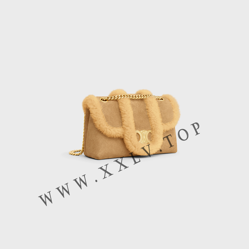 TEEN CELINE VICTOIRE BAG in SUEDE CALFSKIN AND SHEARLING - Image 5