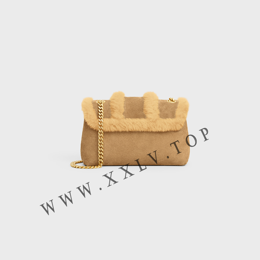 TEEN CELINE VICTOIRE BAG in SUEDE CALFSKIN AND SHEARLING - Image 4