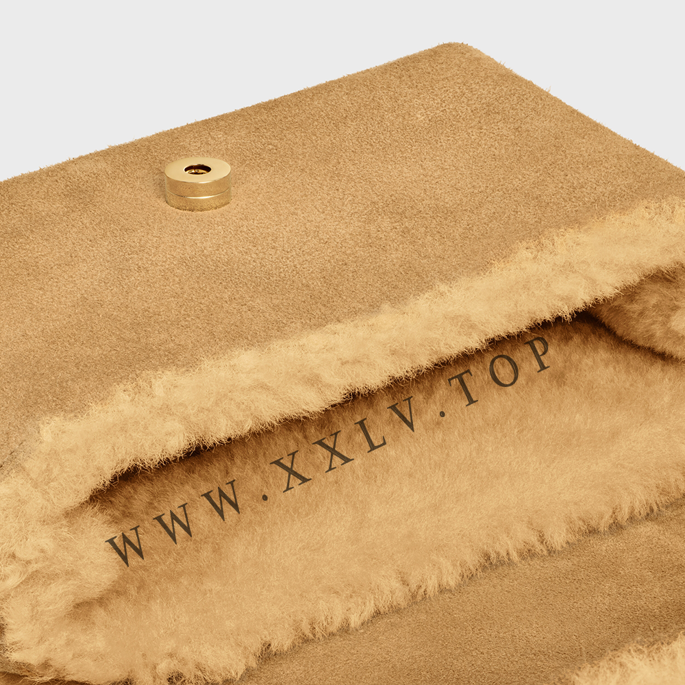 TEEN CELINE VICTOIRE BAG in SUEDE CALFSKIN AND SHEARLING - Image 3