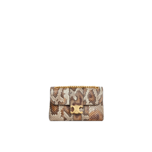 TEEN CELINE VICTOIRE BAG in PYTHON