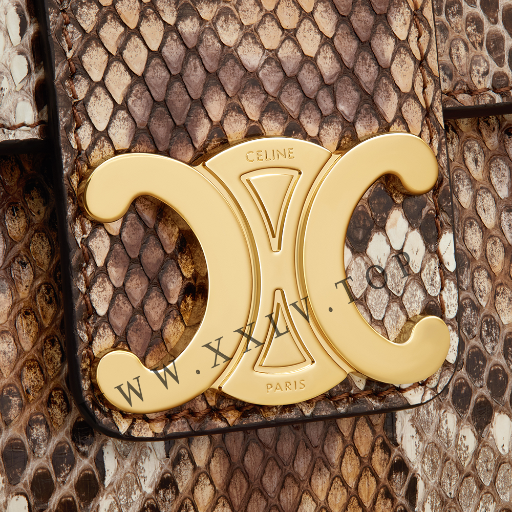 TEEN CELINE VICTOIRE BAG in PYTHON - Image 2