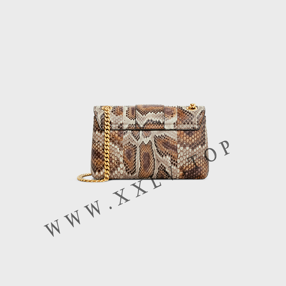 TEEN CELINE VICTOIRE BAG in PYTHON - Image 4