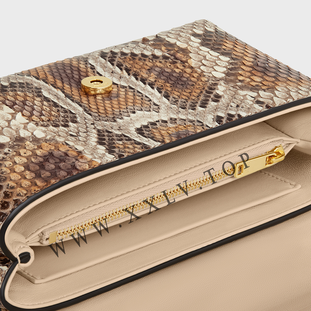 TEEN CELINE VICTOIRE BAG in PYTHON - Image 3