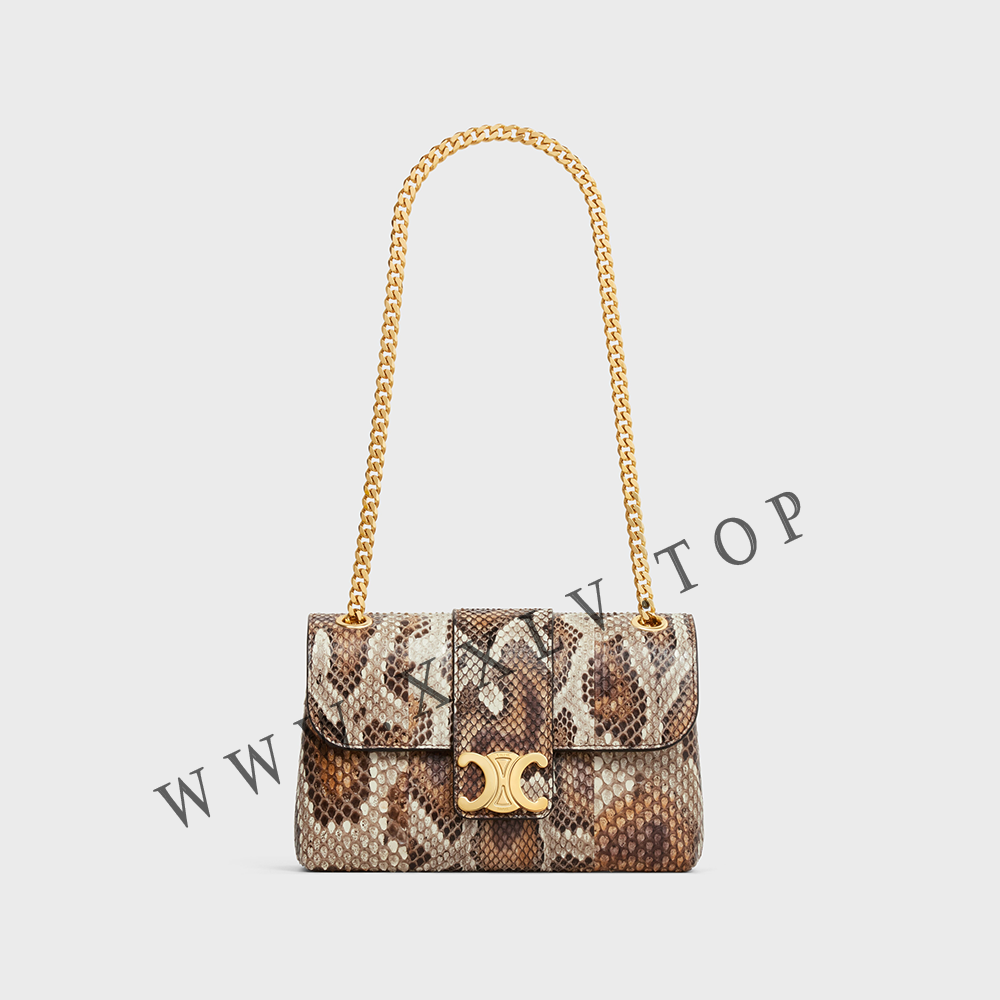 TEEN CELINE VICTOIRE BAG in PYTHON - Image 5
