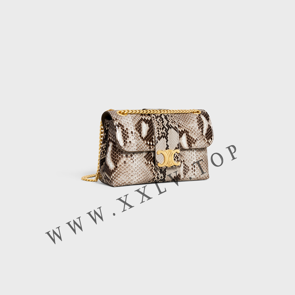 TEEN CELINE VICTOIRE BAG in PYTHON - Image 5