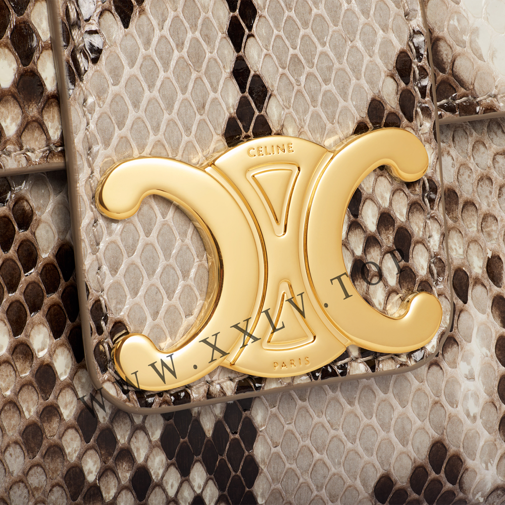 TEEN CELINE VICTOIRE BAG in PYTHON - Image 3