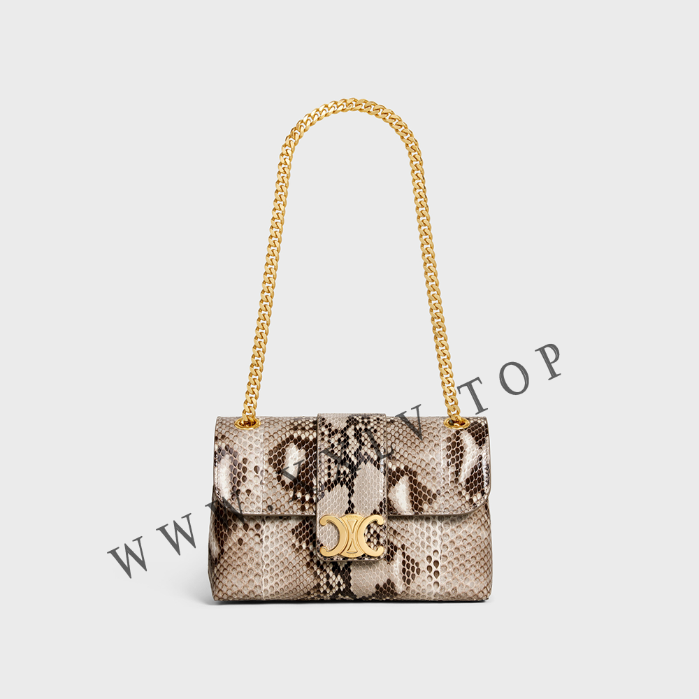 TEEN CELINE VICTOIRE BAG in PYTHON - Image 4