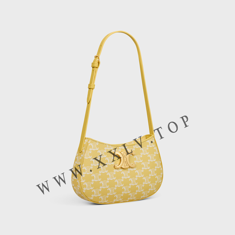 MEDIUM TILLY BAG in Triomphe canvas and calfskin - Image 4