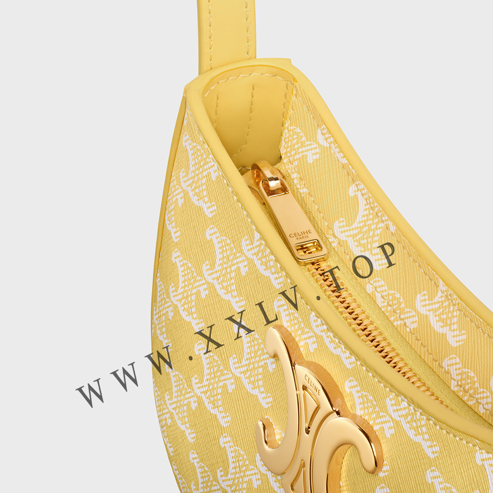 MEDIUM TILLY BAG in Triomphe canvas and calfskin - Image 3