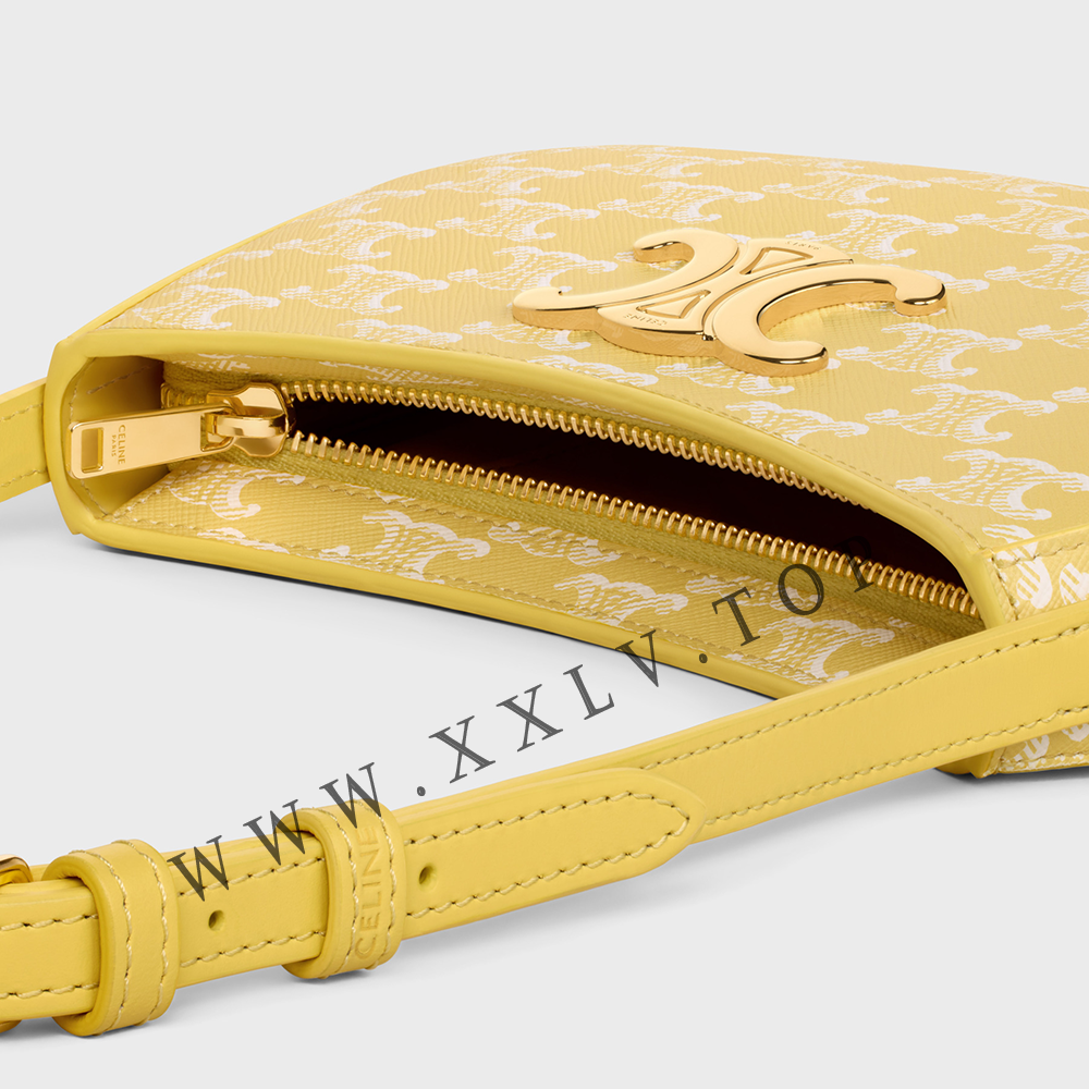 MEDIUM TILLY BAG in Triomphe canvas and calfskin - Image 2