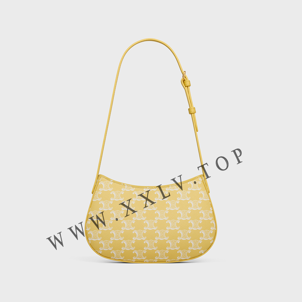 MEDIUM TILLY BAG in Triomphe canvas and calfskin - Image 5