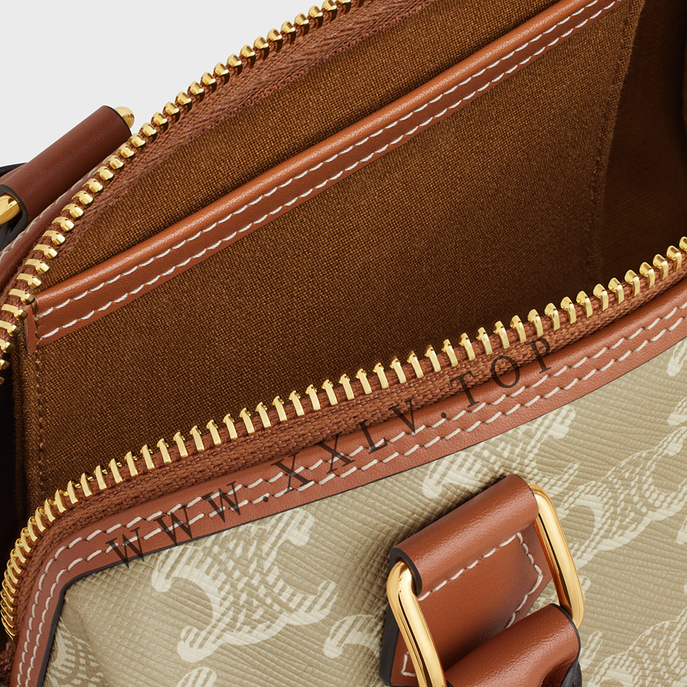 SMALL BOSTON in Triomphe Canvas and calfskin - Image 3