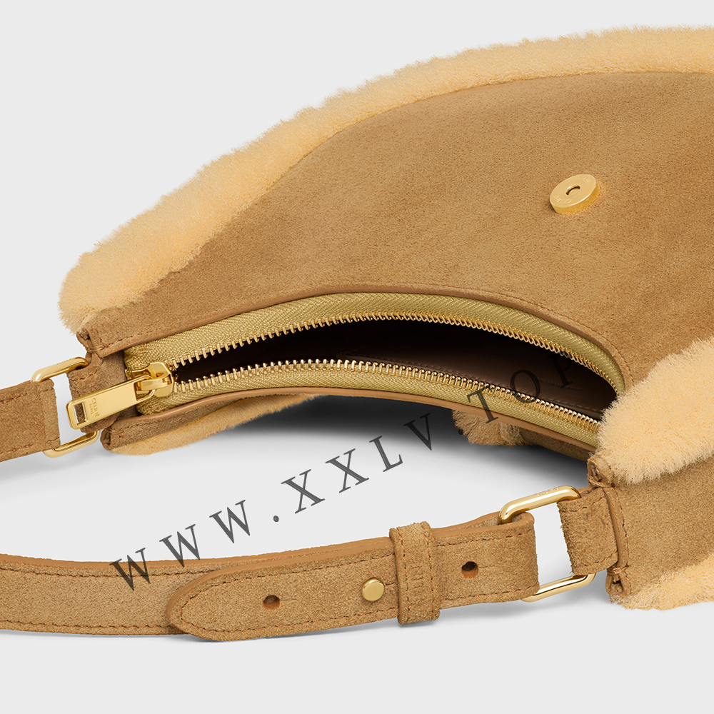MEDIUM AVA TRIOMPHE BAG in SUEDE CALFSKIN AND SHEARLING - Image 2