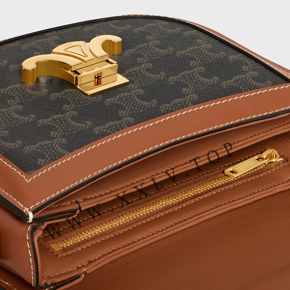 BESACE CLEA in Triomphe Canvas and Calfskin - Image 3