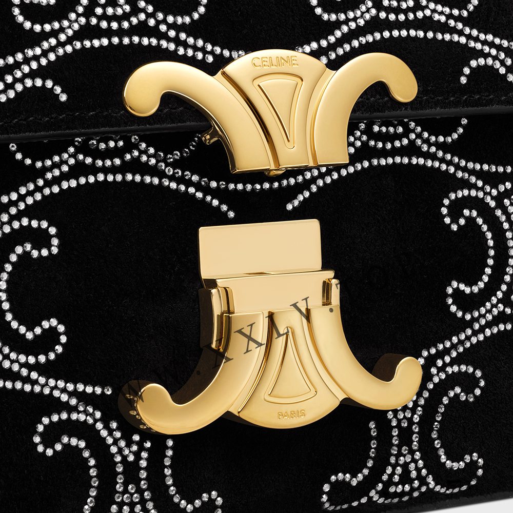 CHAIN SHOULDER BAG CLAUDE in SUEDE CALFSKIN WITH TRIOMPHE STRASS - Image 2