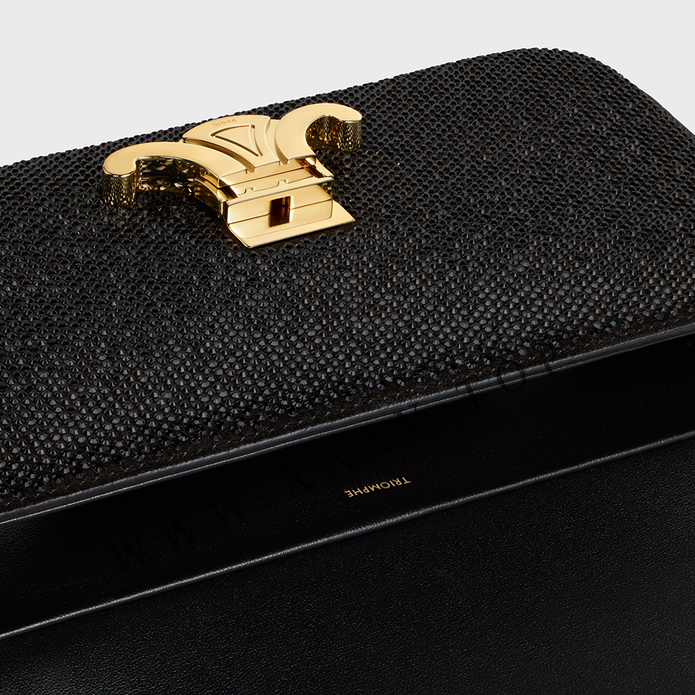 CHAIN SHOULDER BAG CLAUDE in SUEDE CALFSKIN WITH STRASS - Image 2