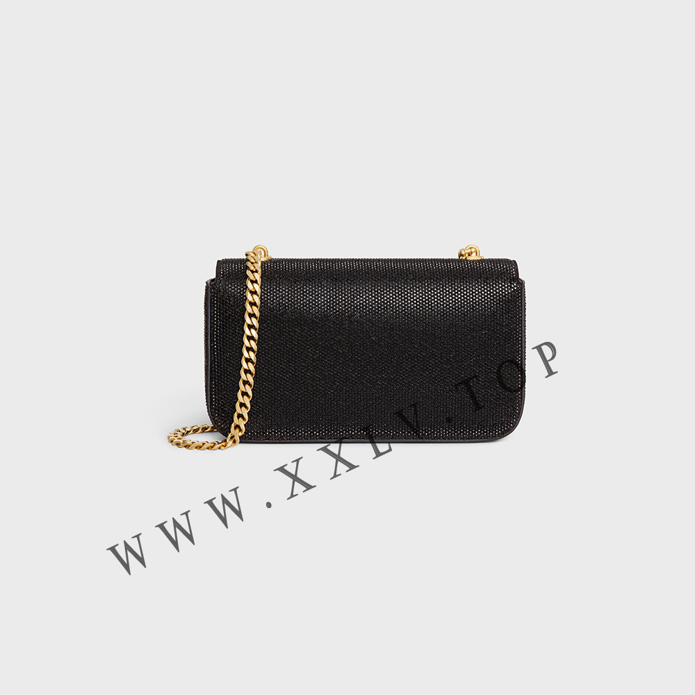 CHAIN SHOULDER BAG CLAUDE in SUEDE CALFSKIN WITH STRASS - Image 4