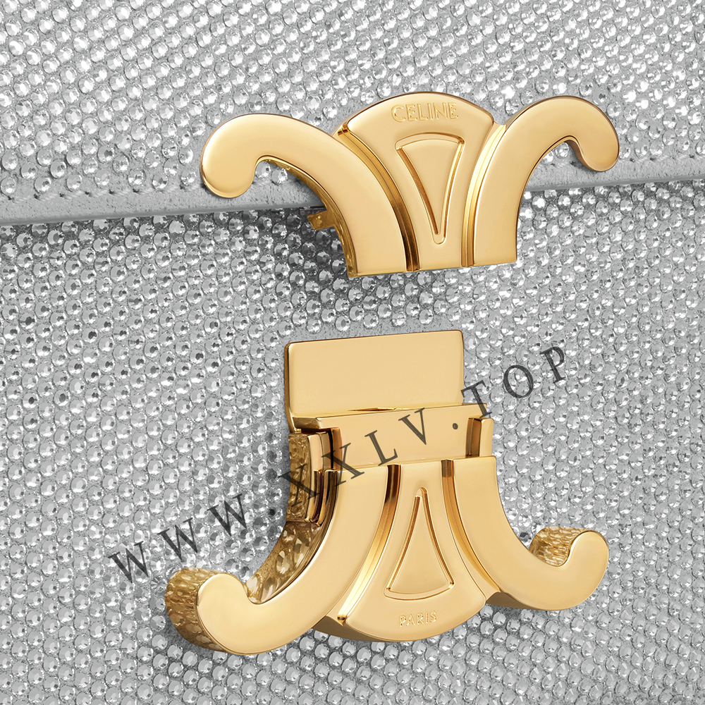 CHAIN SHOULDER BAG CLAUDE in SUEDE CALFSKIN WITH STRASS - Image 2