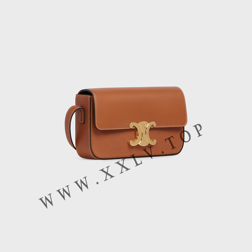 SHOULDER BAG CLAUDE in Natural Calfskin - Image 5