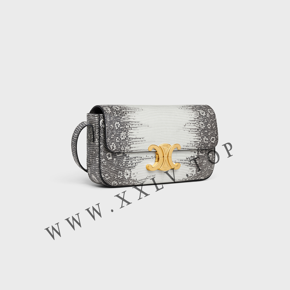 SHOULDER BAG CLAUDE in Lizard - Image 5