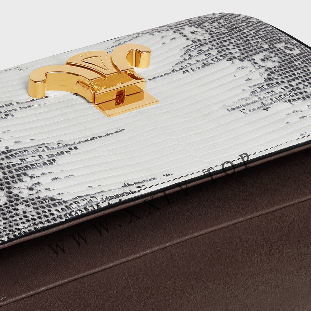 SHOULDER BAG CLAUDE in Lizard - Image 3