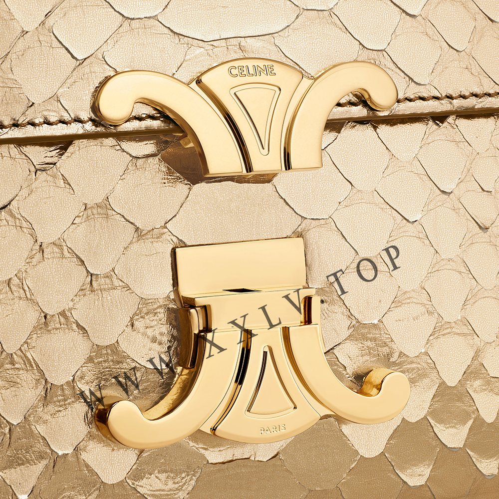 TEEN GARANCE bag in LAMINATED PYTHON - Image 2