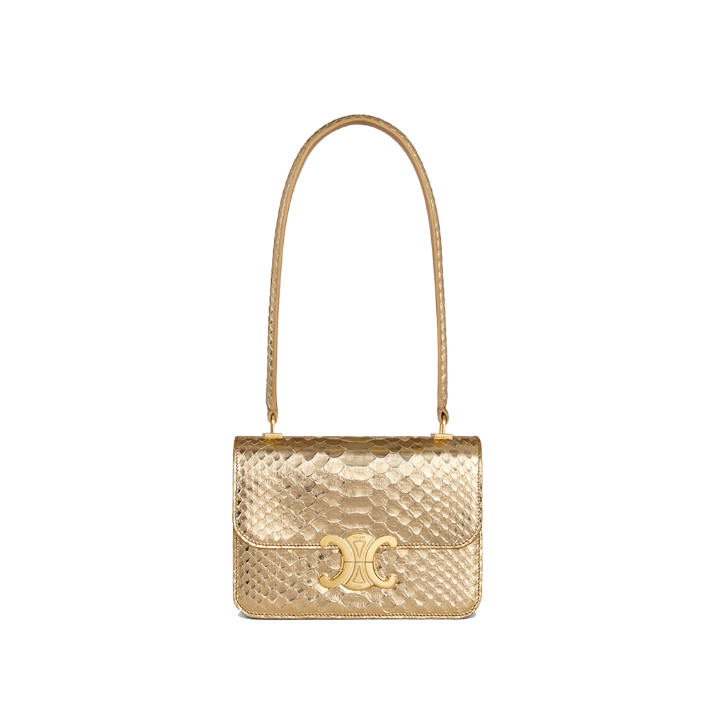 TEEN GARANCE bag in LAMINATED PYTHON