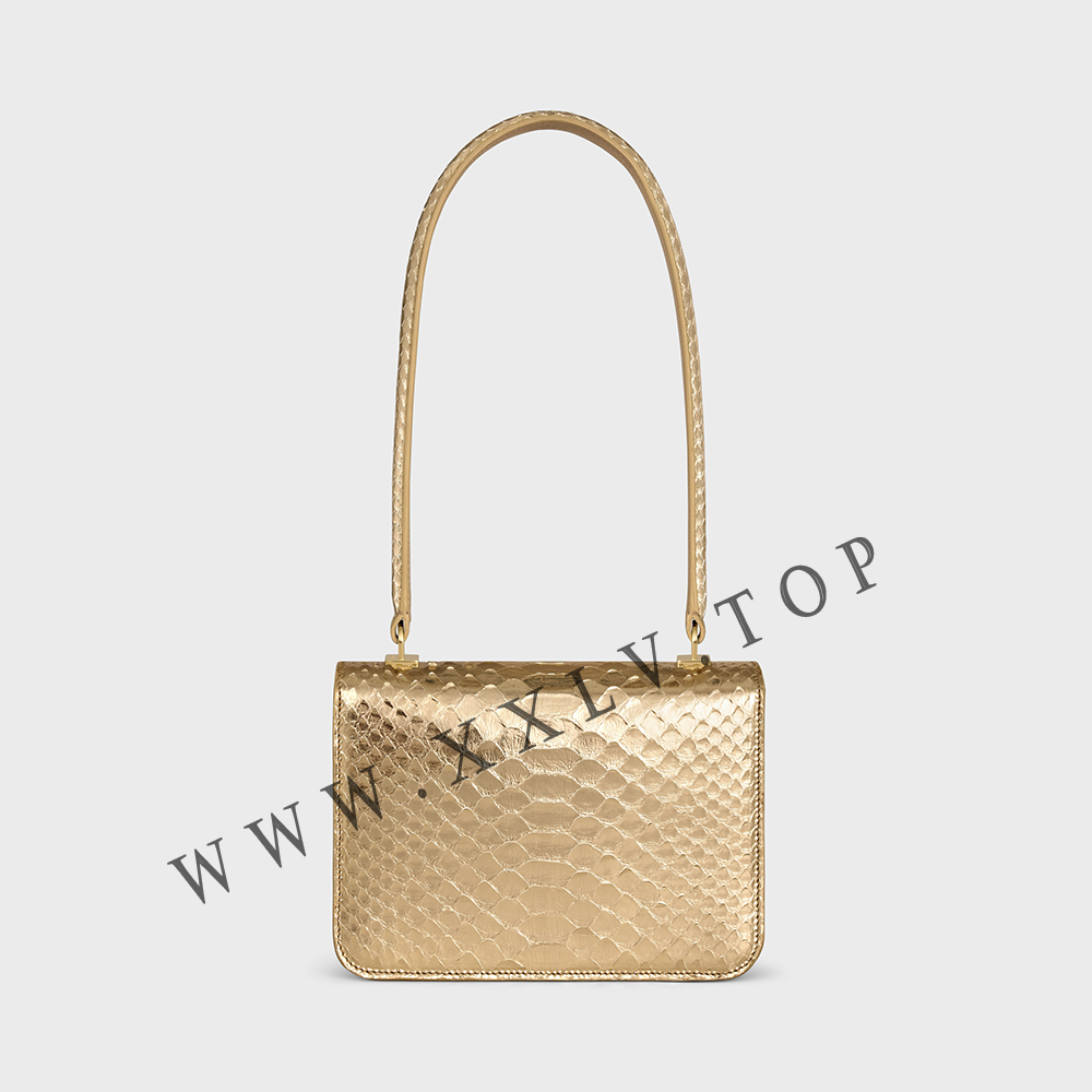 TEEN GARANCE bag in LAMINATED PYTHON - Image 4