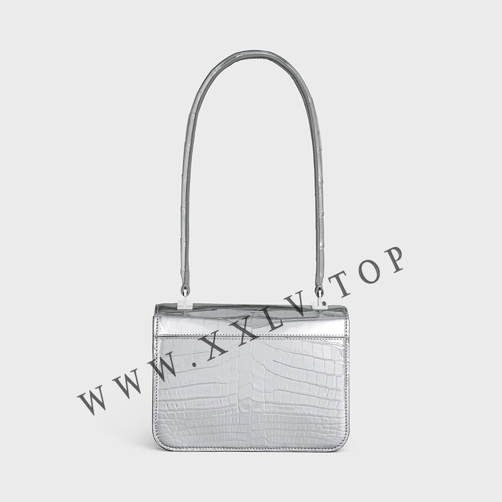 TEEN GARANCE bag in LAMINATED NILOTICUS CROCODILE - Image 5
