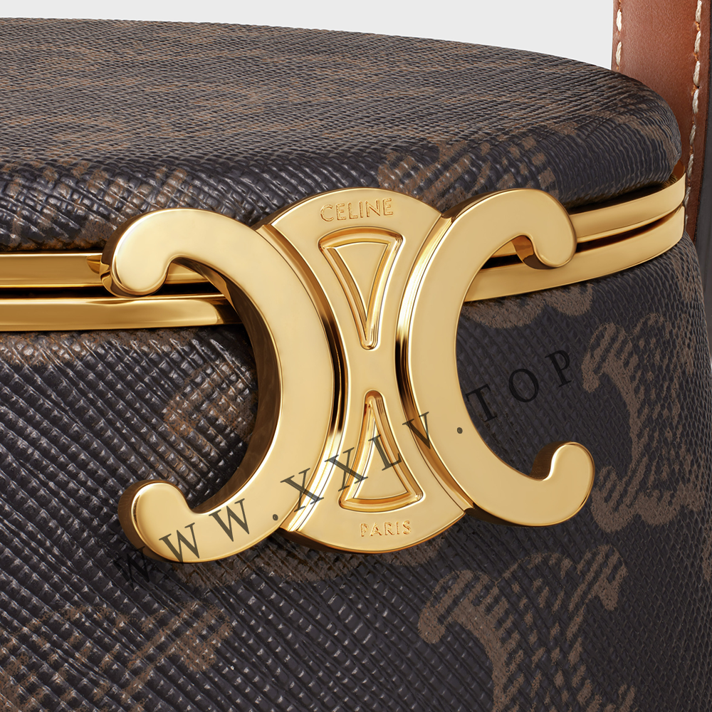 CELINE VANITY in Triomphe Canvas and calfskin - Image 5