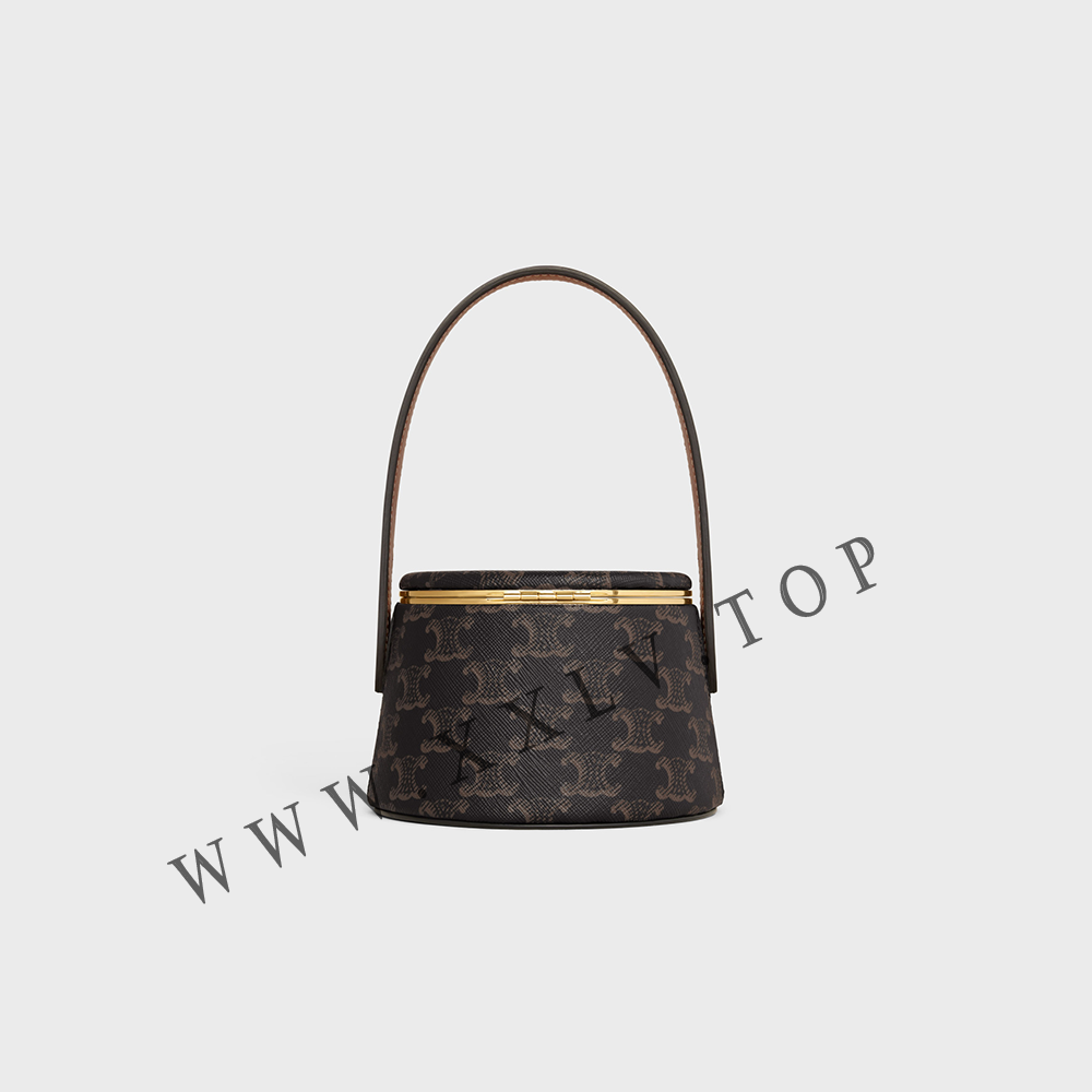 CELINE VANITY in Triomphe Canvas and calfskin - Image 3