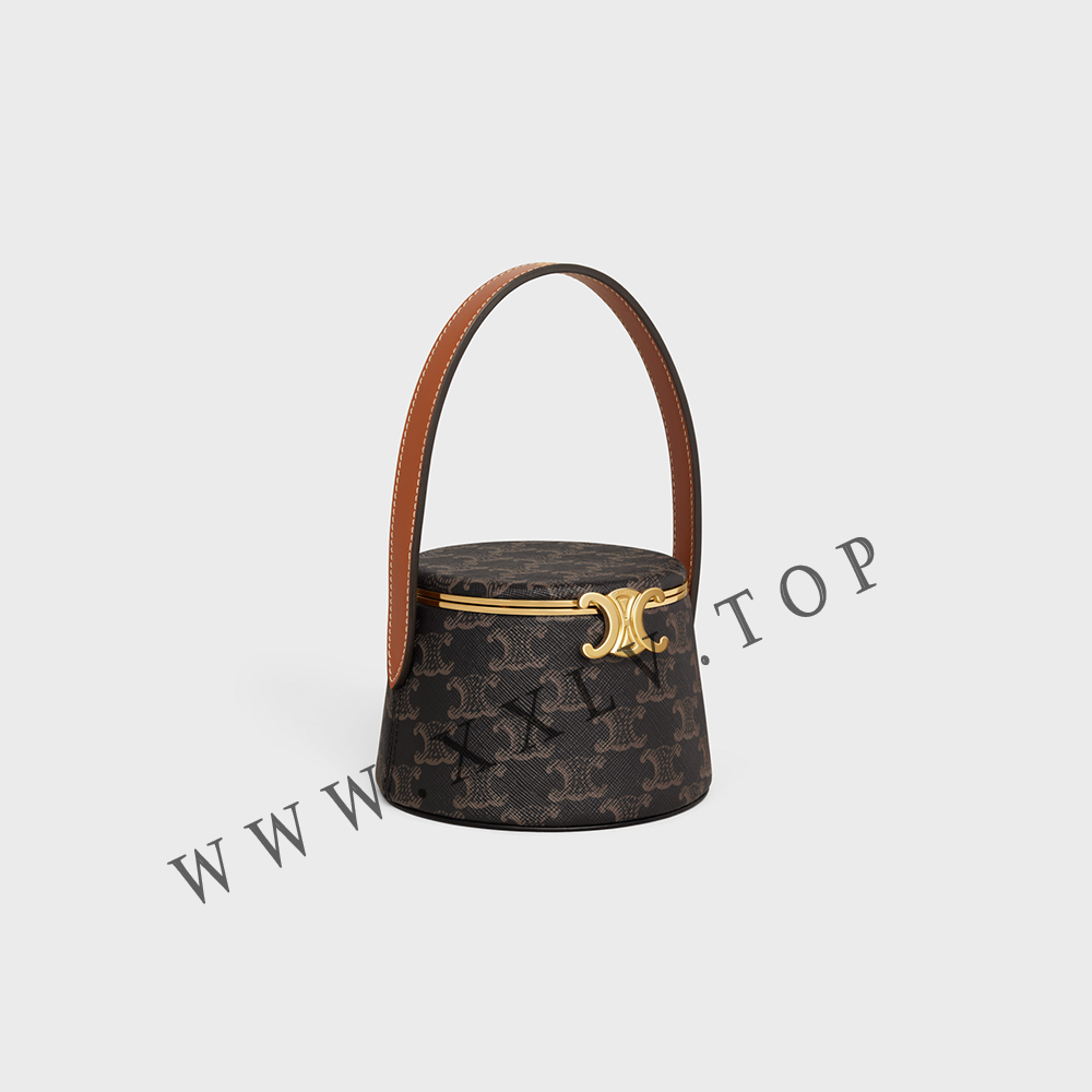 CELINE VANITY in Triomphe Canvas and calfskin - Image 4