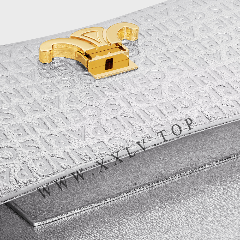 MEDIUM CELINE LOLA BAG in laminated calfskin with celine all-over - Image 4