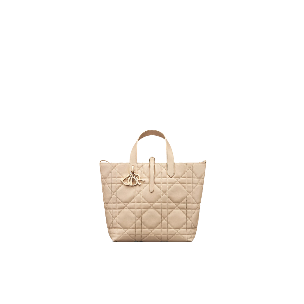 Medium Dior Toujours Vertical Tote Bag