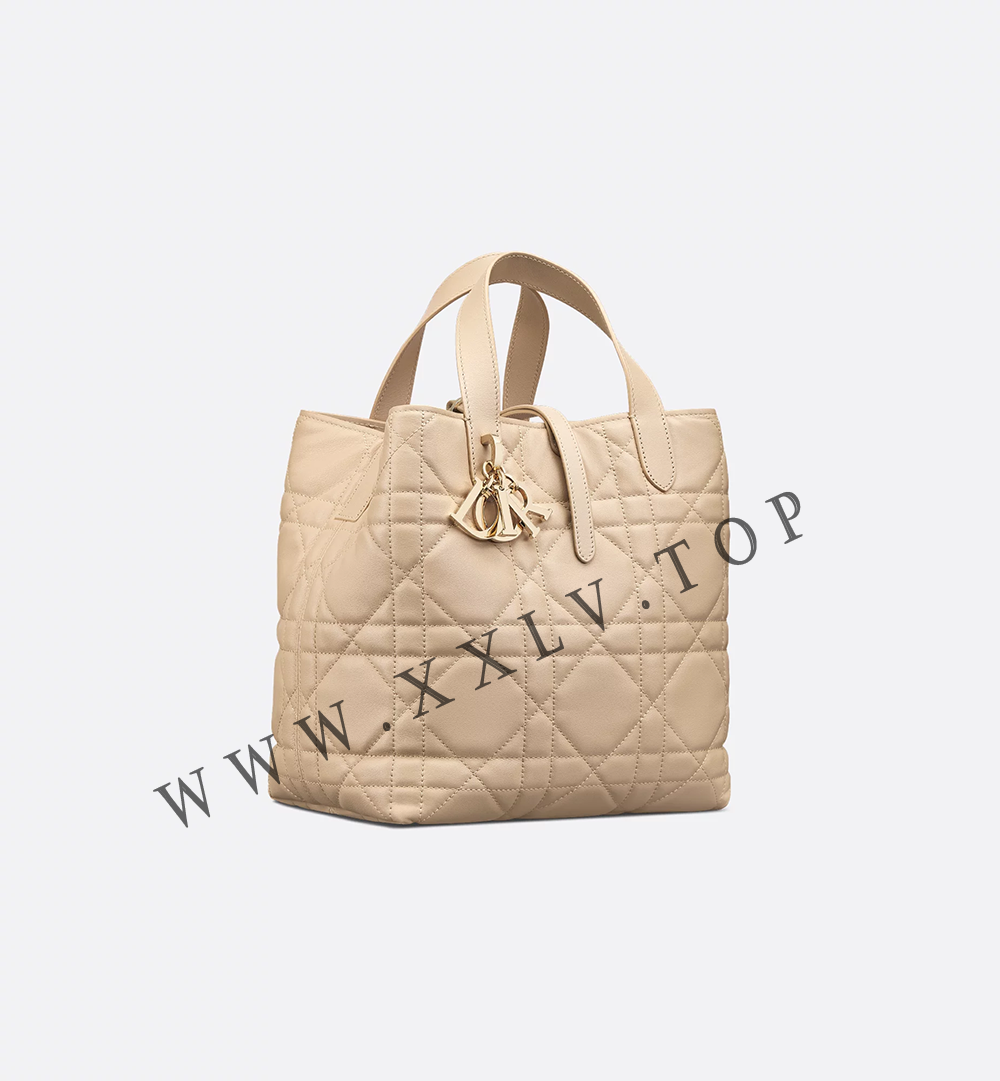 Medium Dior Toujours Vertical Tote Bag - Image 2