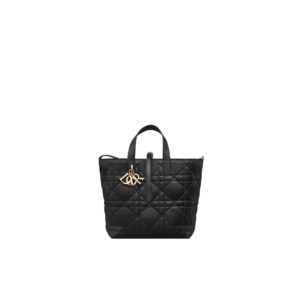 Medium Dior Toujours Vertical Tote Bag
