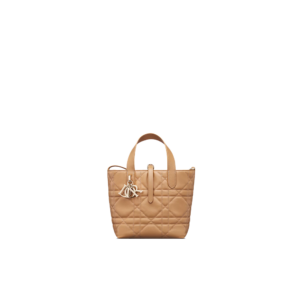 Small Dior Toujours Vertical Tote Bag