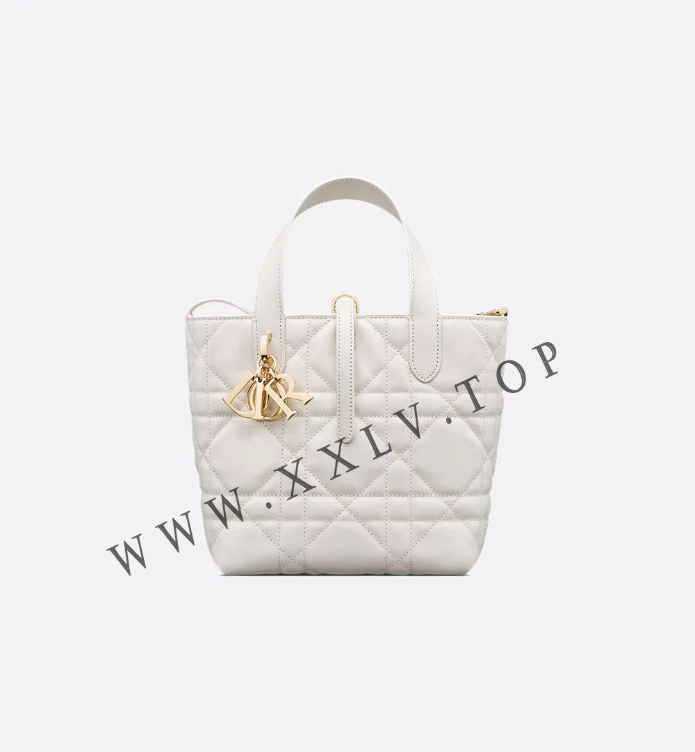 Small Dior Toujours Vertical Tote Bag - Image 5