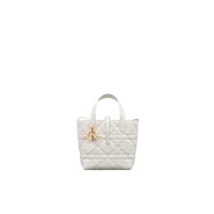 Small Dior Toujours Vertical Tote Bag