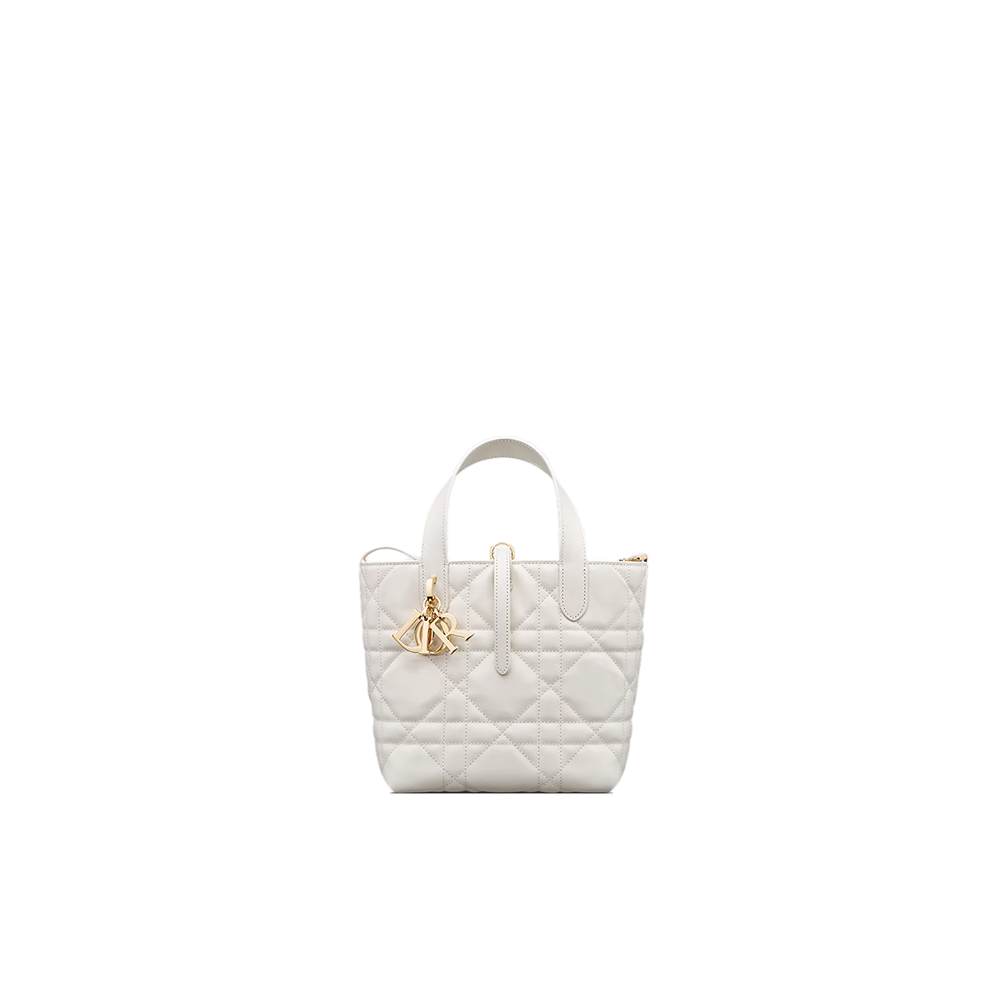 Small Dior Toujours Vertical Tote Bag