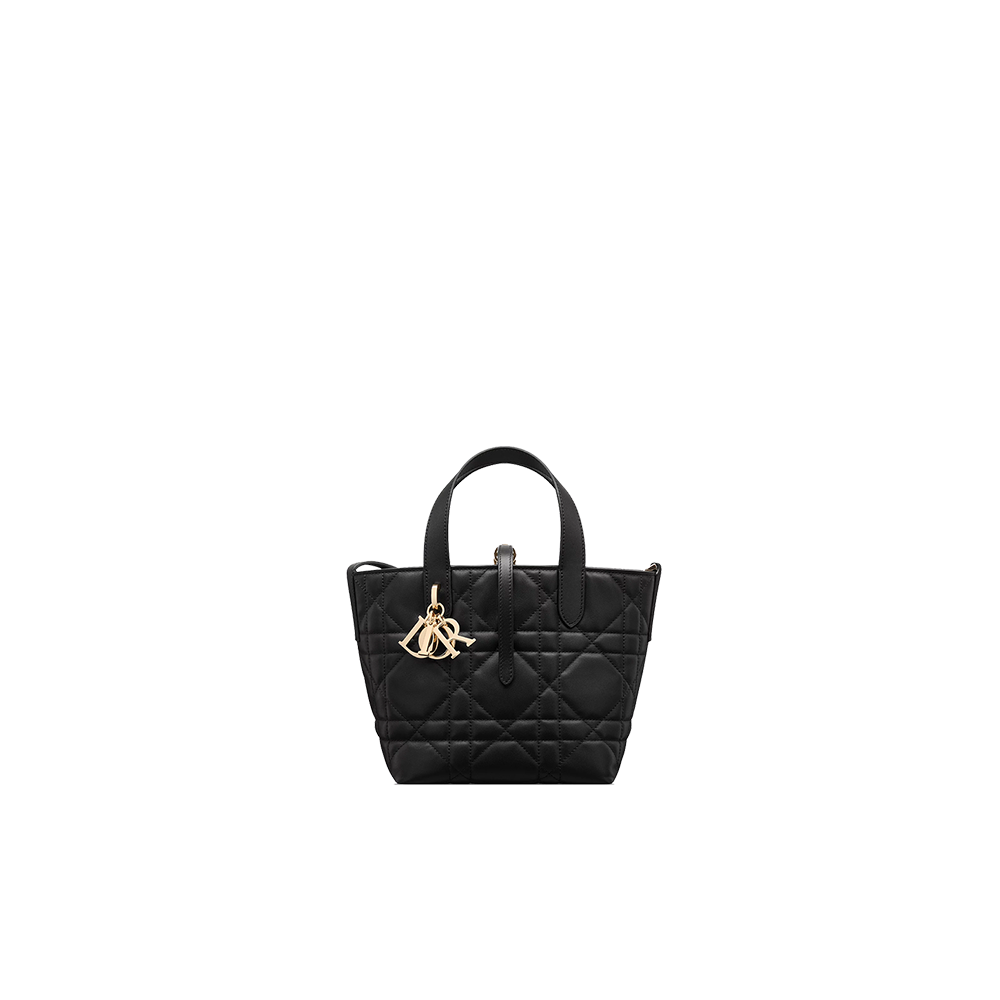 Small Dior Toujours Vertical Tote Bag