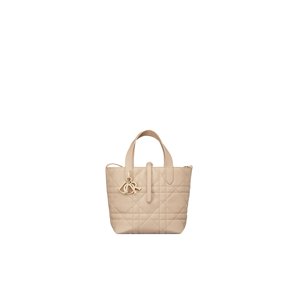 Small Dior Toujours Vertical Tote Bag